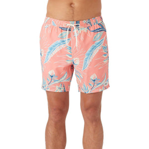 ONeill Mens Hermosa E Waist Lined Volley 17 Boardshorts