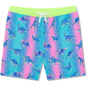 Chubbies Boys The Dino Delights Swim Trunks