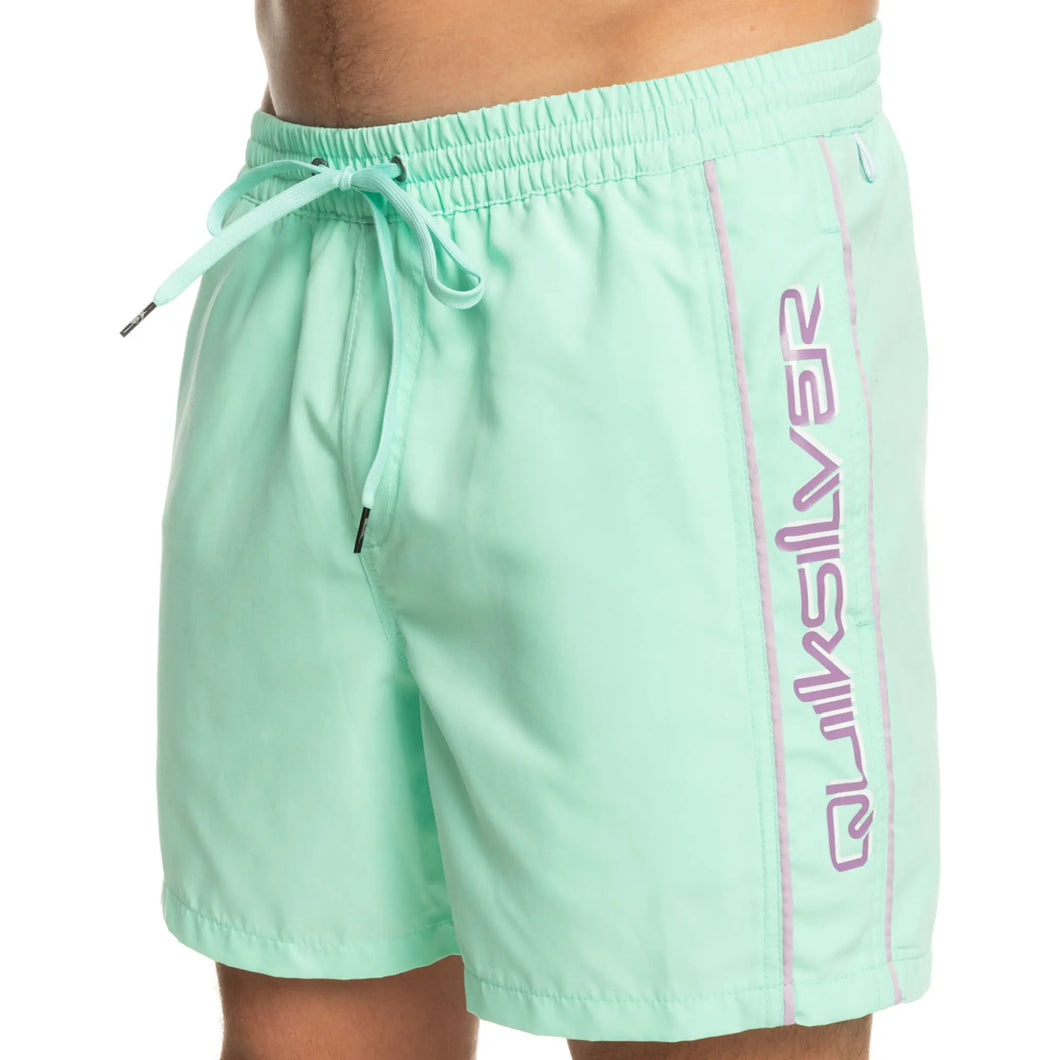 Quiksilver Mens Everyday Vert Volley 16 Boardshorts