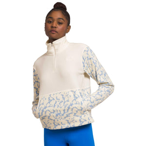 The North Face Womens Alpine Polartec 1/4 Zip 100 Pullover