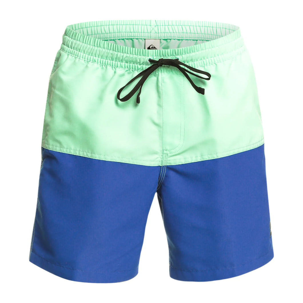 Quiksilver Mens Butt Logo Volley 17 Boardshorts