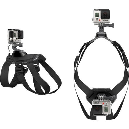 Fetch Camera Mount Dog Harness